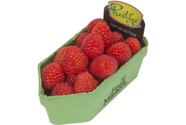 Frambozen Prestige 150gr kist 12 stuks